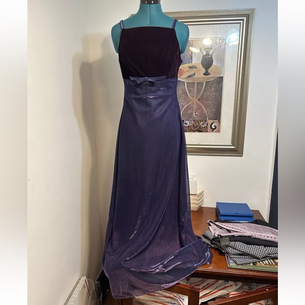 BLONDIE and ME EVENING By Linda Bernell Plumb Sparkle Lined Maxi Dress Size 9/10
